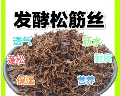 松塔养花，兰花不是问题（听说松塔不适合养兰花？大错特错！）
