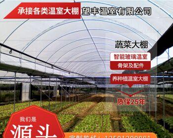 如何科学定植蔬菜，让你的蔬菜成长更健康？