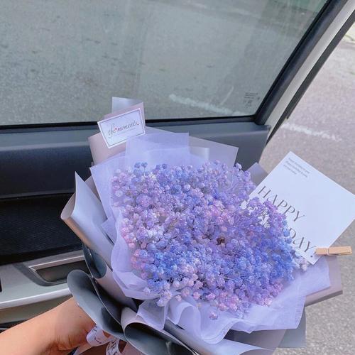 蓝色满天星的花语（寓意深远的小花，传递着什么？）