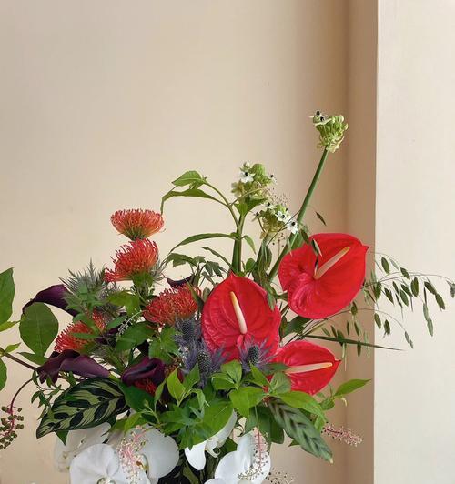 针垫花的养护与花语（打造自然清新的家居环境，让针垫花传达你的情感）