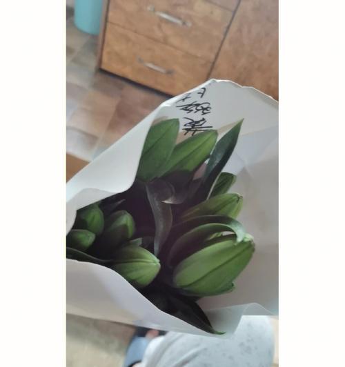 黄天霸百合花的花语（传递希望和祝福的美丽花卉）