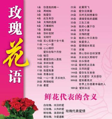 解析粉红玫瑰的花语含义（探究粉红玫瑰象征的情感和意义）