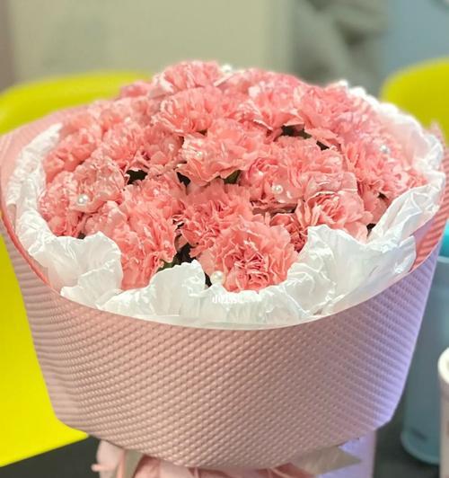 粉红色的康乃馨代表着什么?(探究康乃馨花语与文化内涵)