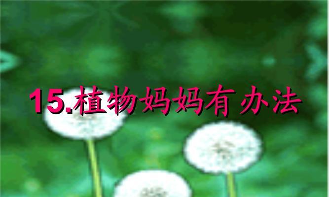 植物的种子传播方式（探究植物的繁殖机制与方法）