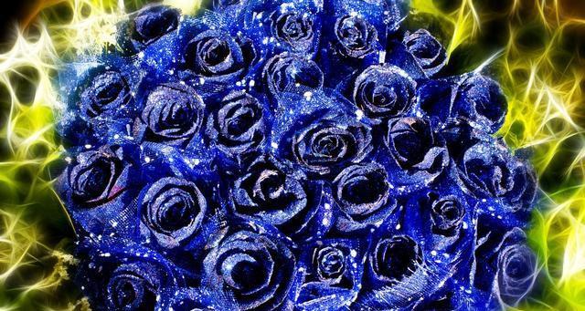 13朵玫瑰花语（探寻玫瑰花的深层含义，让你更懂得爱情）