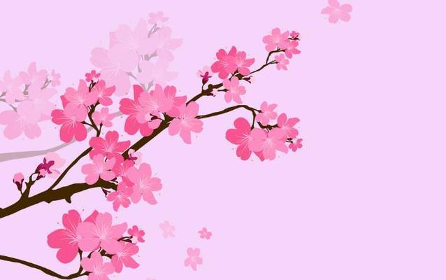 粉色樱花的花语（美丽浪漫的代表——粉色樱花）