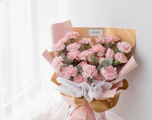 康乃馨花语与寓意（揭秘康乃馨的历史背景、文化涵义及象征意义）