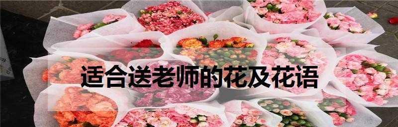 如何为老师选择合适的送花礼物（送花礼物需要注意的事项和建议）