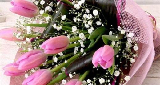 象征老师的花——寓意深远的教育礼品（探秘代表师道的花朵，了解花语背后的深意）