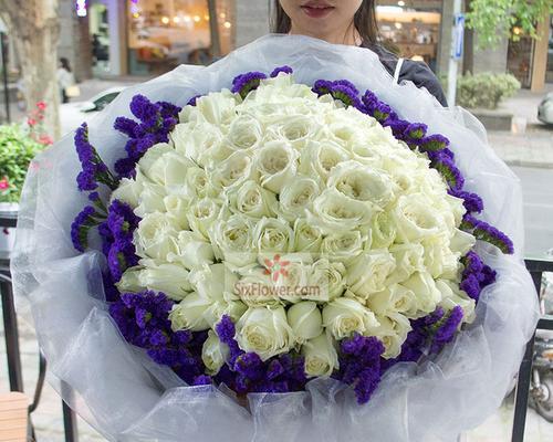 6朵玫瑰的含义剖析（探究6朵玫瑰代表的意义与背后的故事）