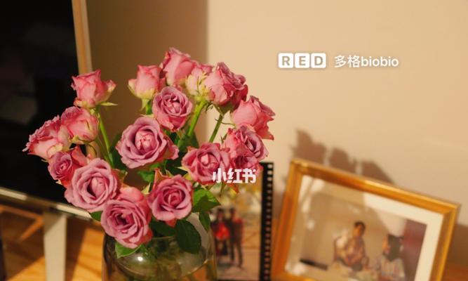 鲜花怎么保鲜？（教你简单方法轻松实现。）