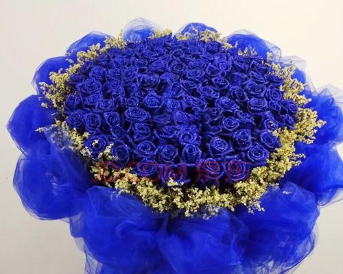 冰蓝色玫瑰的花语——希望与神秘（解读冰蓝色玫瑰的美丽寓意）