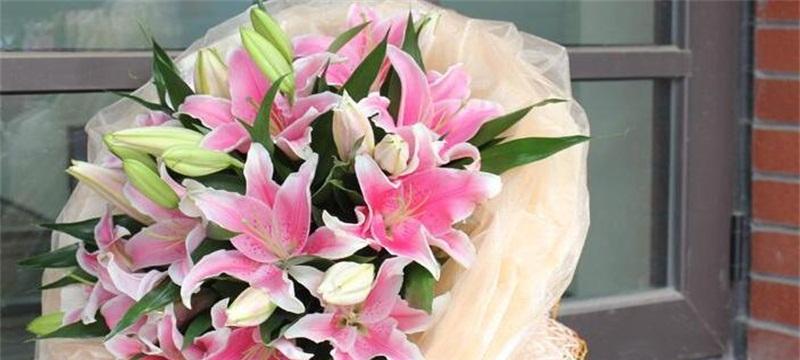 粉色百合花语(探寻粉色百合的花语之美)