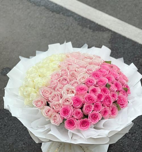 粉色玫瑰花的寓意与象征（绽放爱与温柔的粉色花海）
