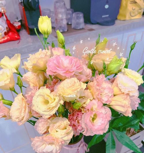 粉色桔梗花的花语——爱的宣言（用桔梗花传递爱意，用花语说爱你）
