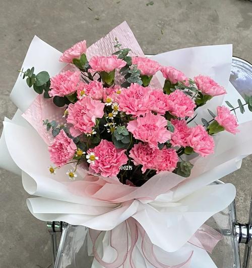 粉色康乃馨的象征意义（探索康乃馨花朵背后的情感和含义）