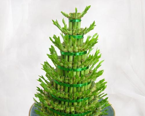 富贵竹的寓意与象征（揭示吉祥、繁荣与福气的秘密）