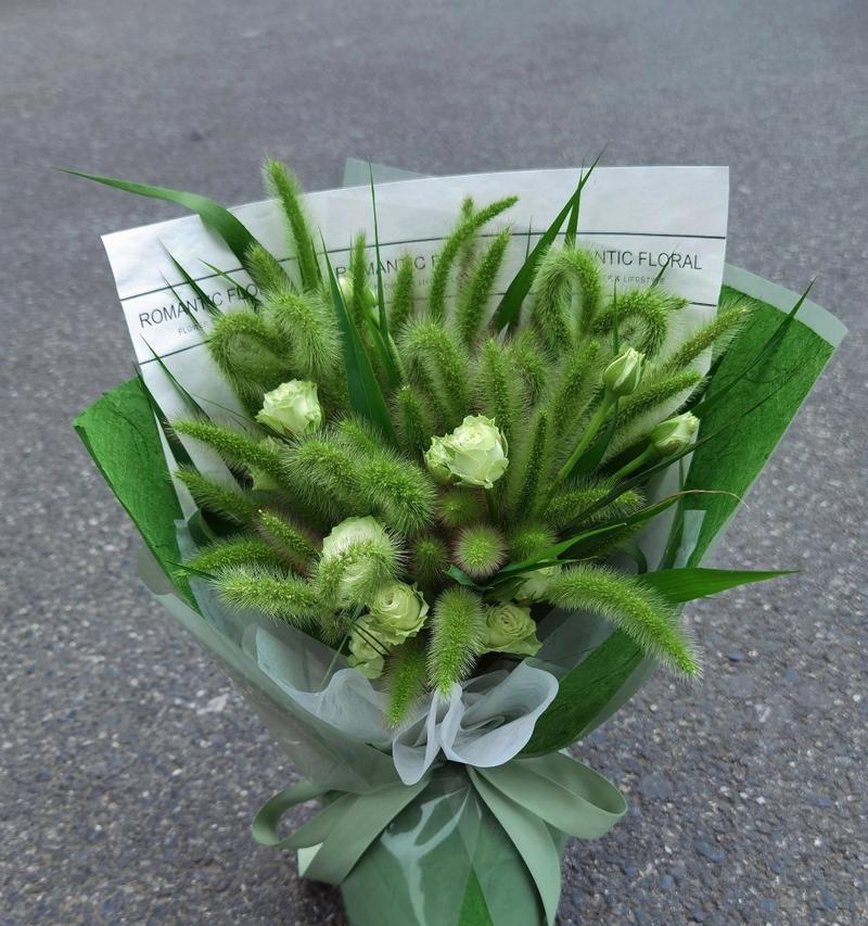 狗尾巴花的花语与寓意（揭开狗尾巴花的神秘面纱，探寻其独特之美）