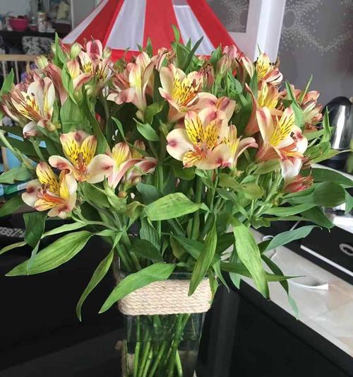 水仙百合的花语与寓意（盛开的清新芬芳，传递深刻情感）