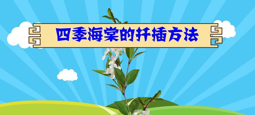 四季海棠花的扦插方法（学会这些技巧，让你轻松种出美丽的海棠花）