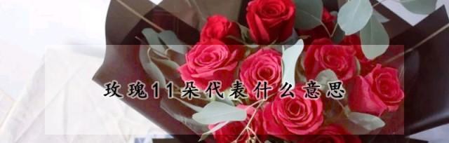 11朵玫瑰的象征意义及寓意解读（揭开11朵玫瑰花语的神秘面纱）