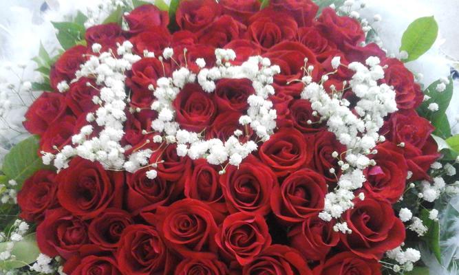 11朵玫瑰花的意义及象征（纯洁、美丽、真爱，11朵玫瑰花代表的情感表达）