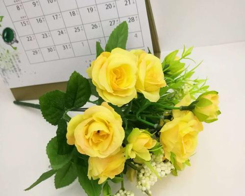 12朵玫瑰花的含义——表达深深的爱意（向心爱的人传达浓浓的情感，传统而美丽的方式）