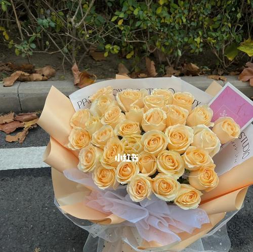 33朵香槟玫瑰的象征意义及寓意（用33朵香槟玫瑰传递爱情与美好）
