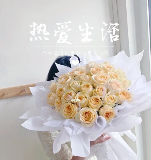 33朵香槟玫瑰花语(传递真挚情感的神秘密码,用香槟色玫瑰书写爱的篇章)
