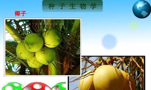 植物传播种子方法剖析（探究植物繁衍的多种方式，了解种子的传播规律）