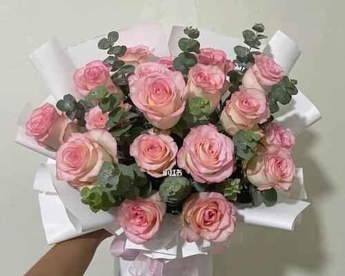 以爱莎玫瑰花语和寓意为主题的文章（揭示爱莎玫瑰花的情感寓意与深远意义）