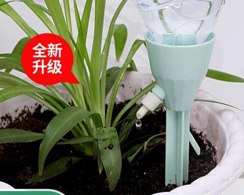 牛奶浇花，适合这些植物！（揭秘牛奶浇花的正确方法及其适用植物种类）