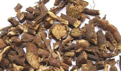 独占春的神奇功效与作用（揭开独占春的秘密，让你拥有健康美丽）