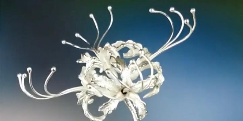 白色彼岸花花语（探寻白色彼岸花的含义和象征，领悟内心宁静与坚强）