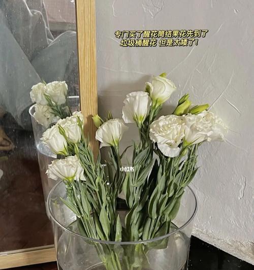 白色桔梗花语（花开如诗，愿意与你共赴美好）
