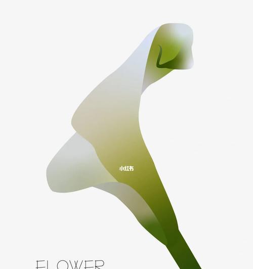 白色马蹄莲（探寻白色马蹄莲的美与哲理）