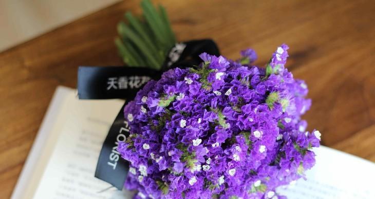 失望的花语（揭示人生失望的迷茫与坚韧，以及寻找新的希望的勇气与智慧）