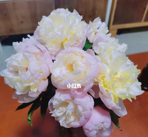 芍药蔫了怎么补救？（芍药底部转黄、花朵头低垂，用这些方法让芍药复苏）