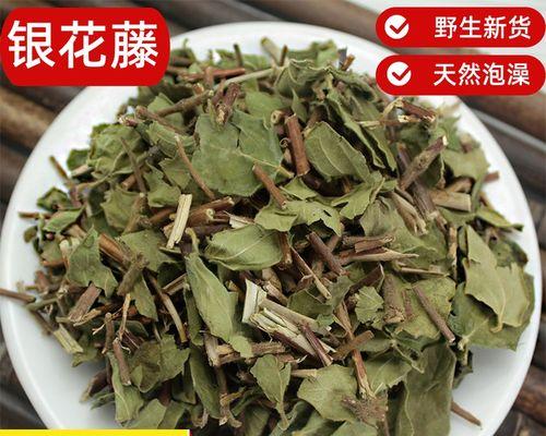 忍冬藤和金银花藤的区别（揭秘你所不知道的两者异同，了解一个的世界）
