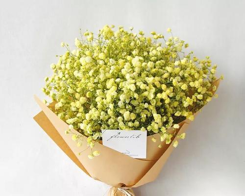 满天星的花语之多彩与纯洁(用花语解读满天星的不同颜色之美)