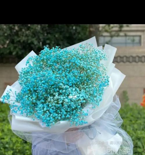 满天星花语的寓意与传承（寻找生命中的美好与希望）
