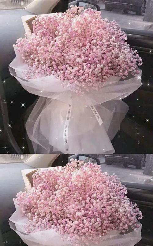 满天星花语之美丽寓意（探寻满天星花语的深刻内涵）
