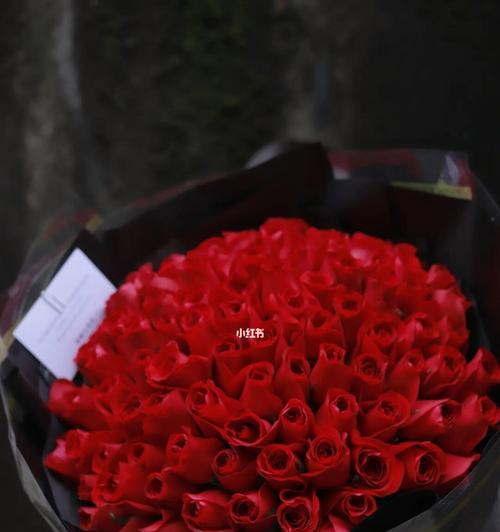 玫瑰花的寓意及朵数代表的含义（揭开玫瑰花的神秘面纱，解读不同朵数的寓意）