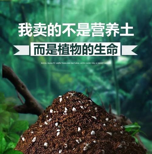 如何制作适合花卉生长的营养土？（以植物需要为出发点，合理配置各种成分）