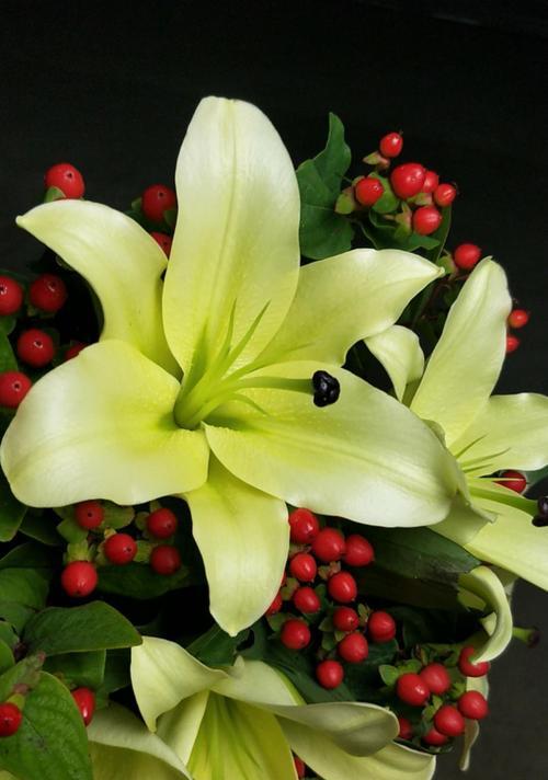百合花黄天霸的盛放时节（了解百合花的开花规律与生长环境，欣赏美丽花朵）