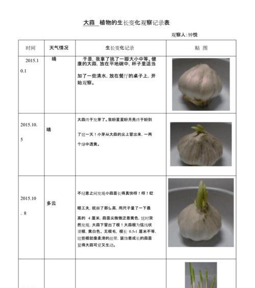 植物生长的条件（了解植物需要什么，助你种出好作物）