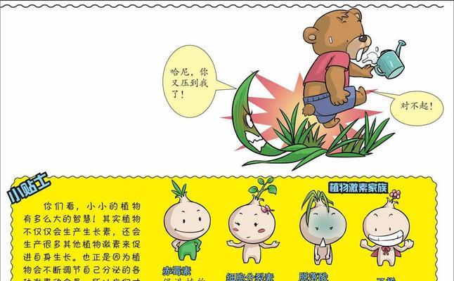 植物生长的条件（了解植物需要什么，助你种出好作物）