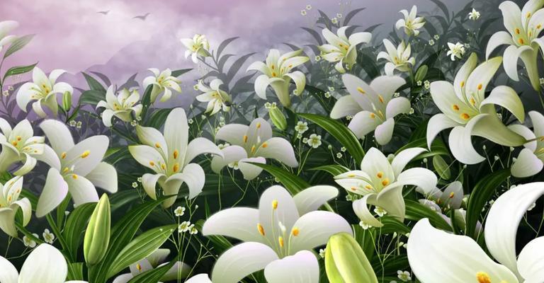 纯洁之花——百合花的花语（百合，传递纯洁的使者）