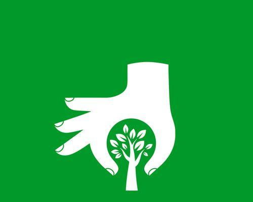 保护植物，共建美丽家园（从我做起，呵护自然之美）