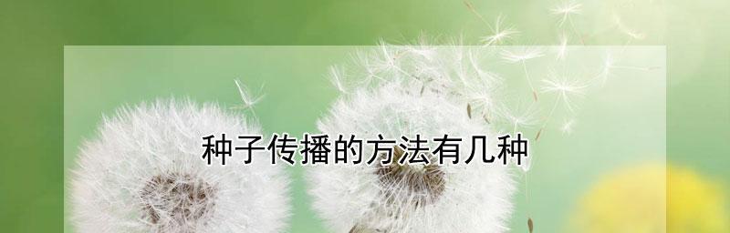 植物种子的传播方式（探索植物如何利用不同的机制传播种子）